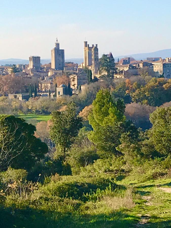 Maison De Roche-Uzes Centre Historique L' Ucetia Екстер'єр фото